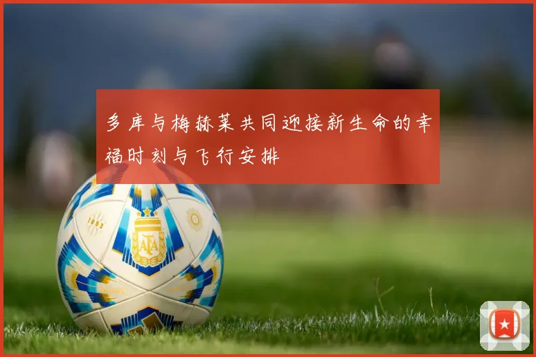 多库与梅赫莱共同迎接新生命的幸福时刻与飞行安排
