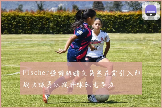 Fischer强调鹈鹕交易墨菲需引入即战力球员以提升球队竞争力